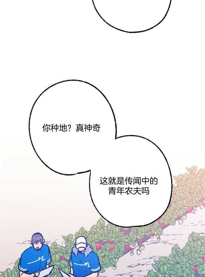 15.jpg