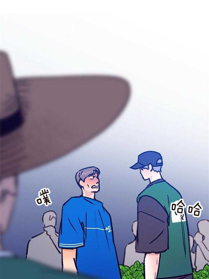16.jpg