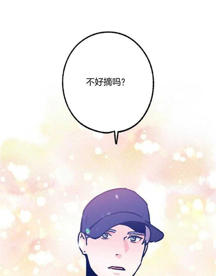 29.jpg