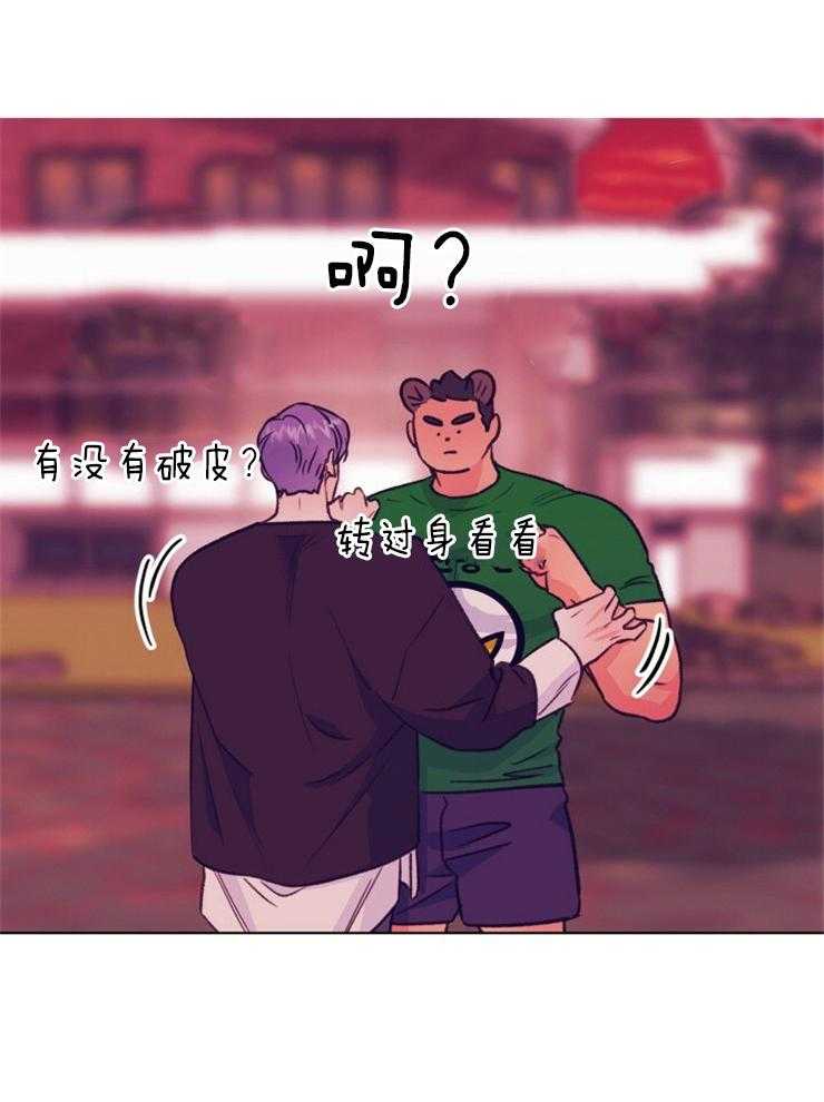 31.jpg