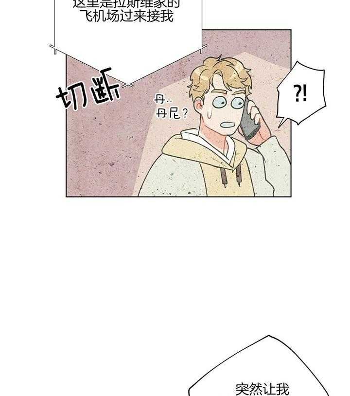 39.jpg