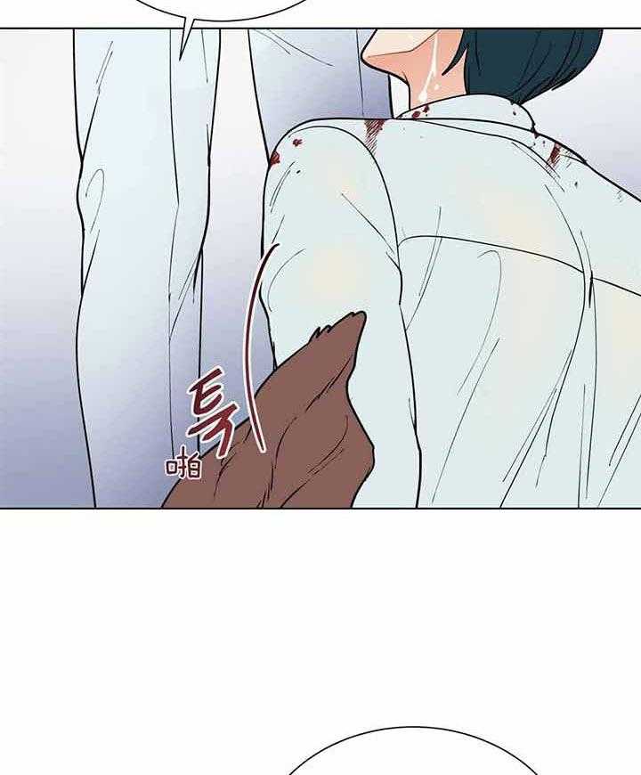 23.jpg