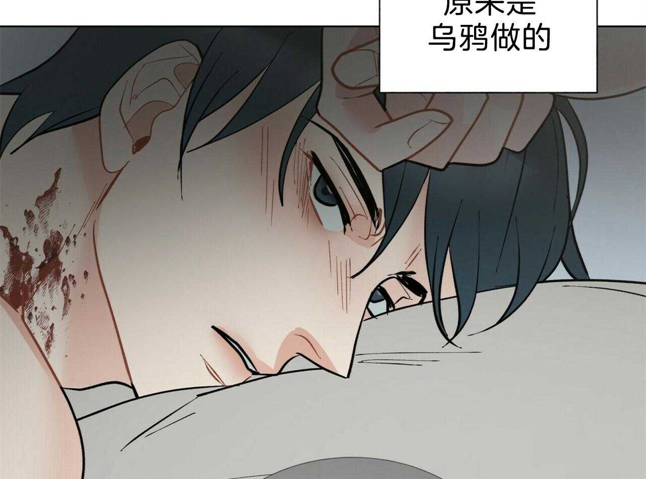 51.jpg