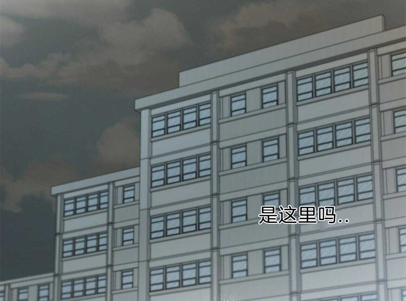 43.jpg