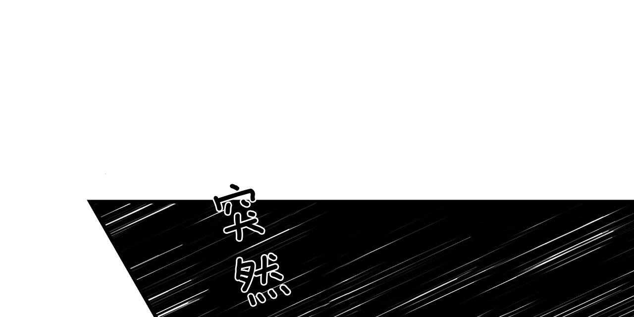 100.jpg