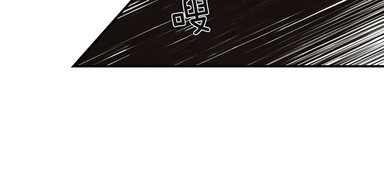 95.jpg
