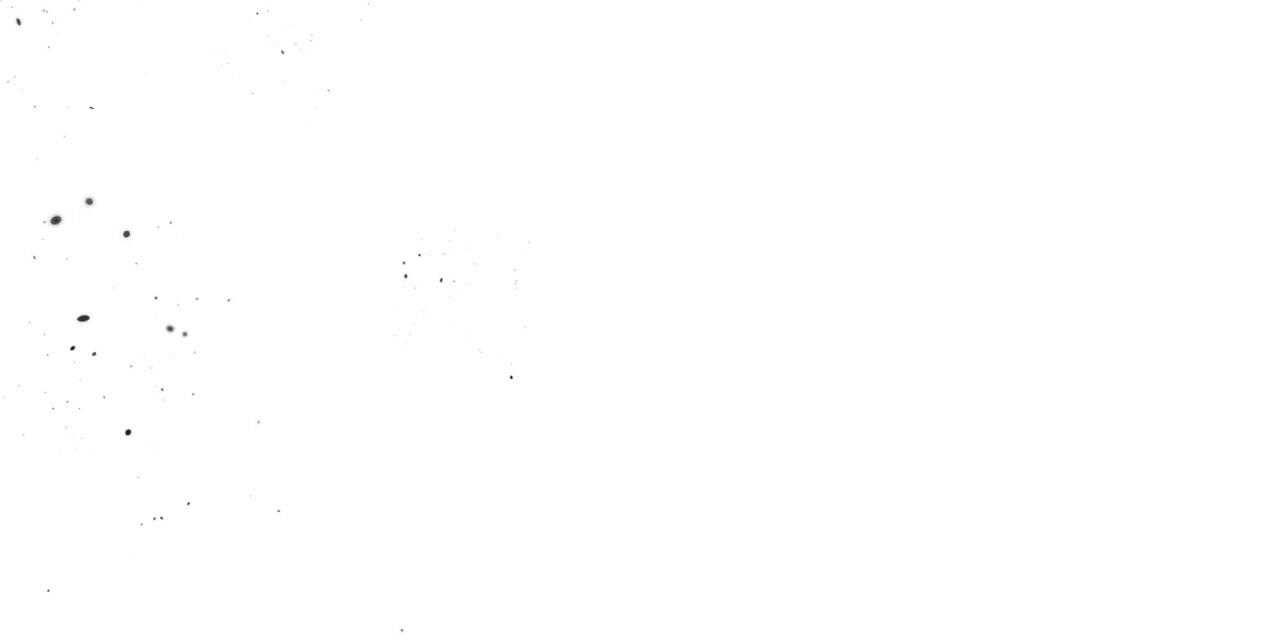 72.jpg