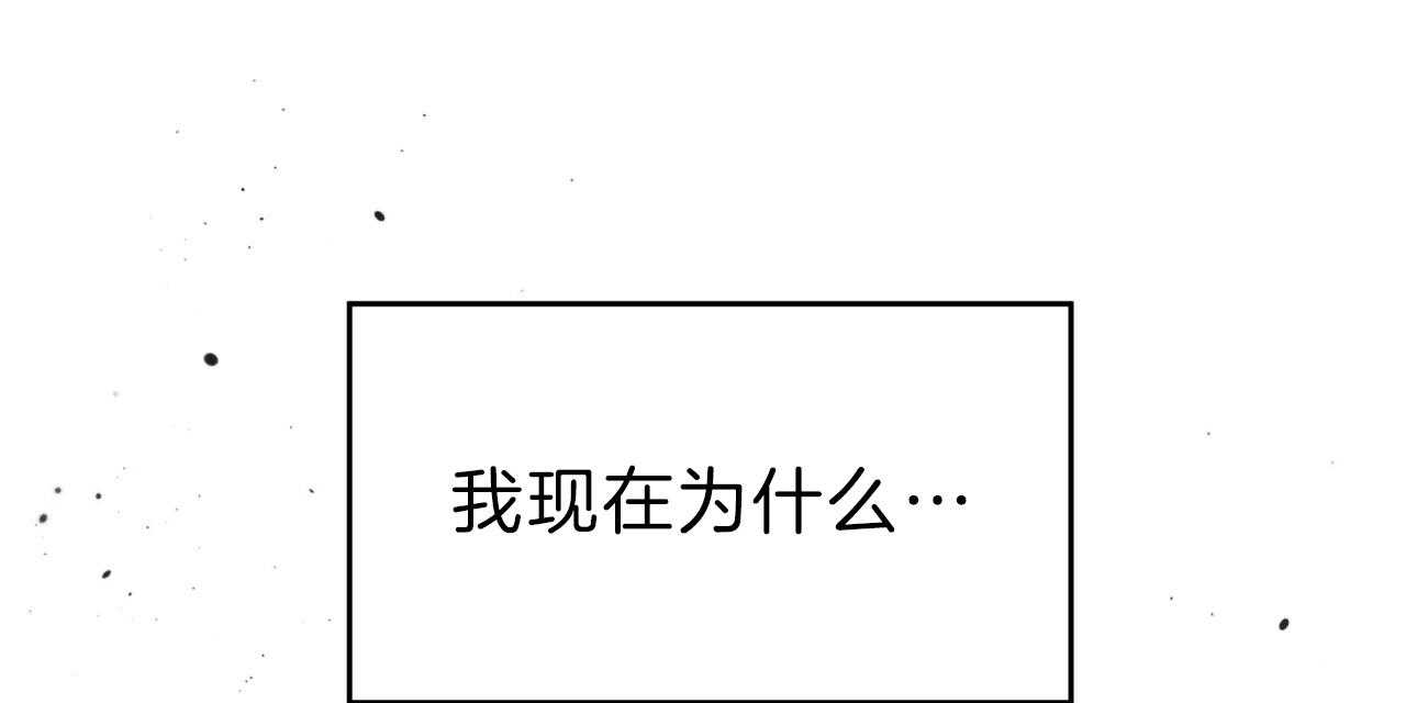 95.jpg