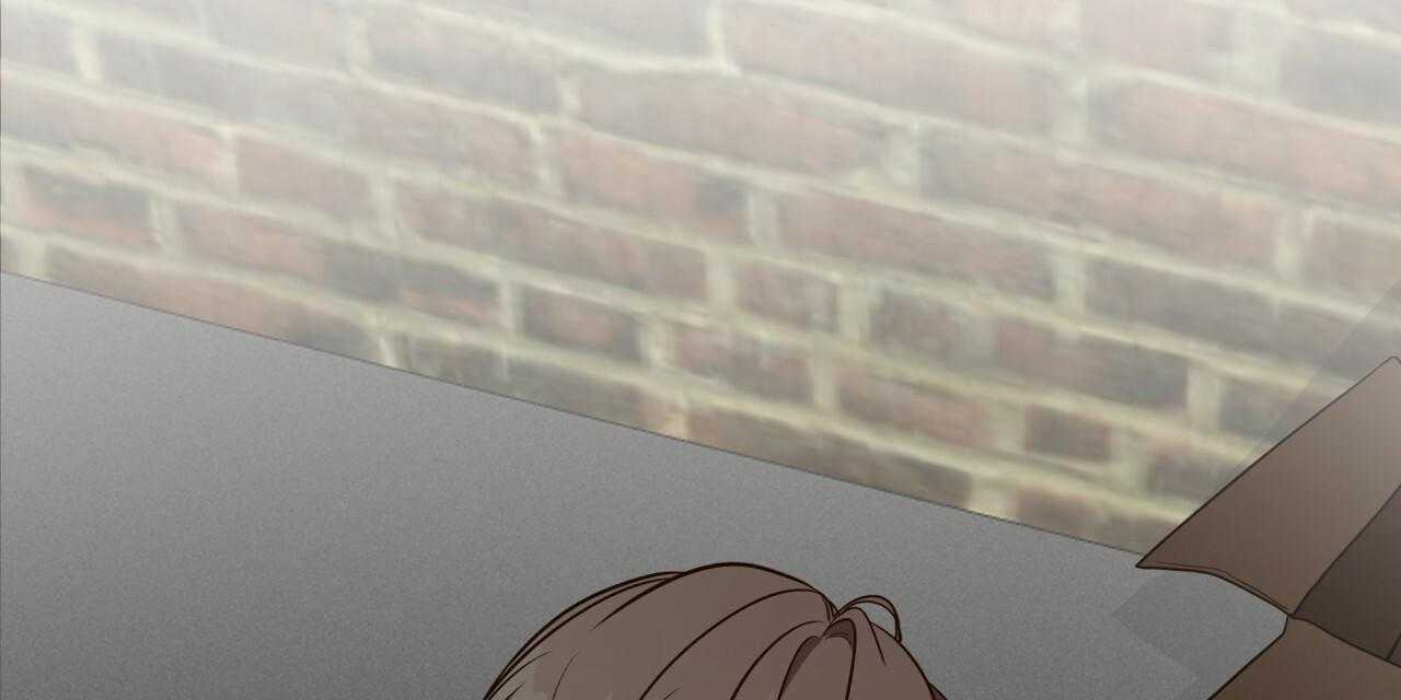 113.jpg