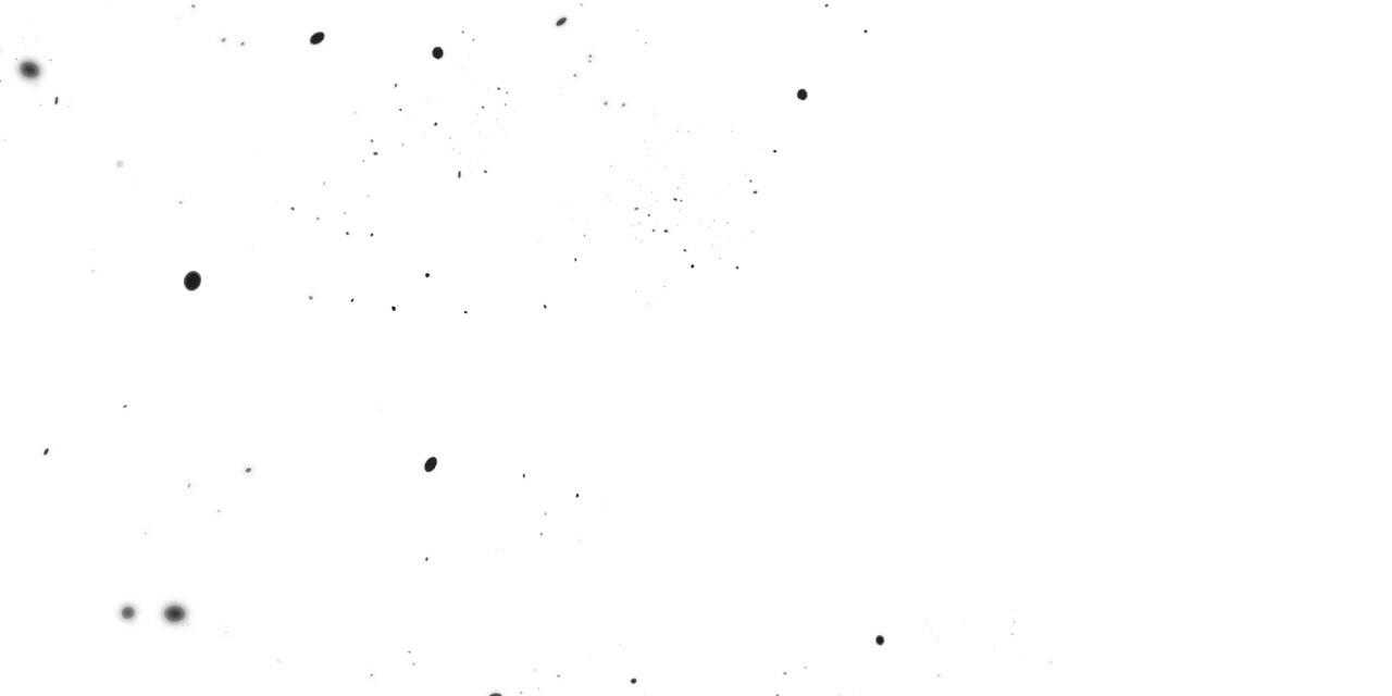 100.jpg