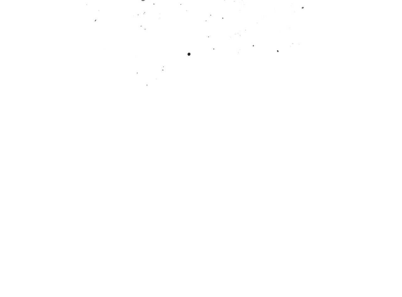 101.jpg