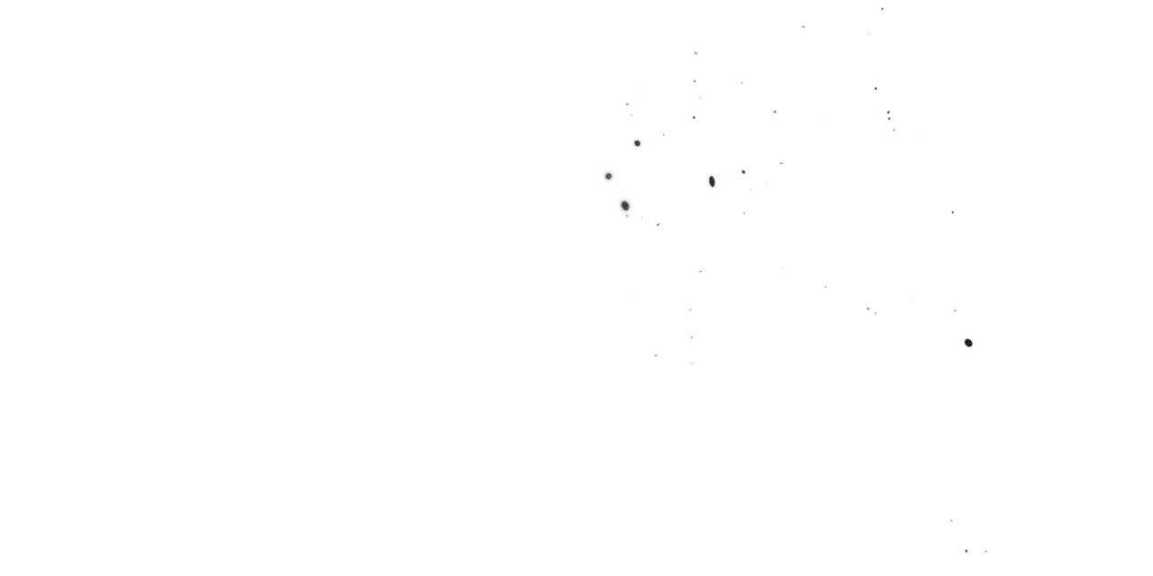 110.jpg