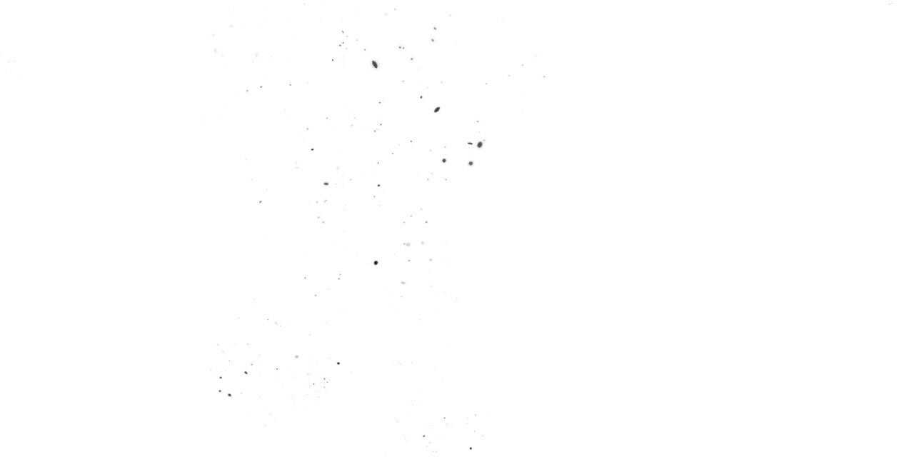 123.jpg