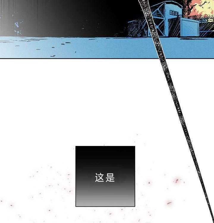 43.jpg