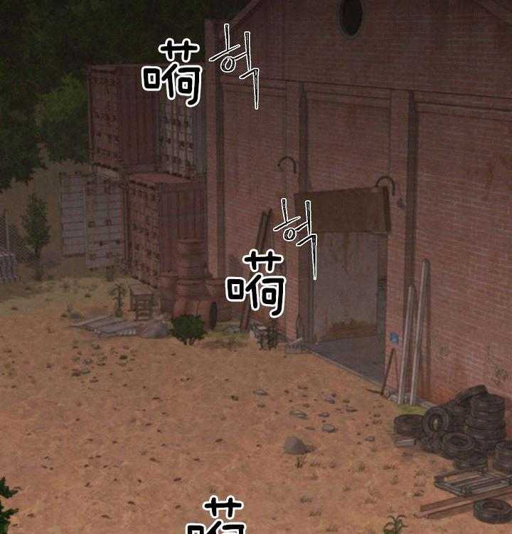 18.jpg