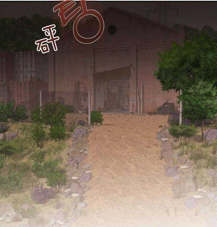 41.jpg