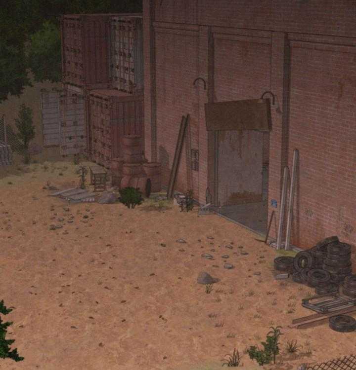 56.jpg