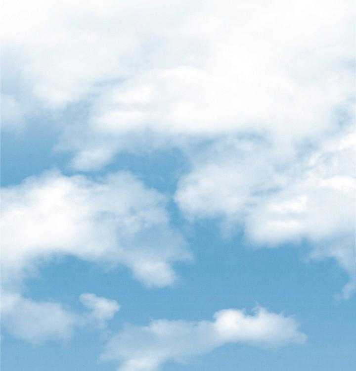 48.jpg
