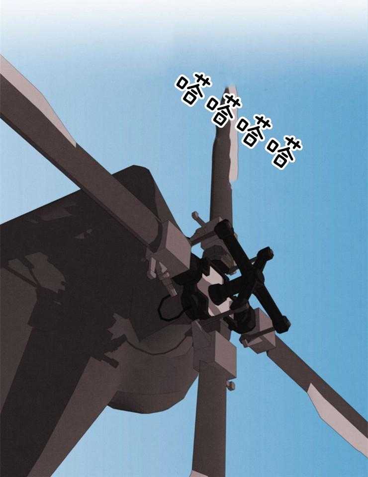 43.jpg