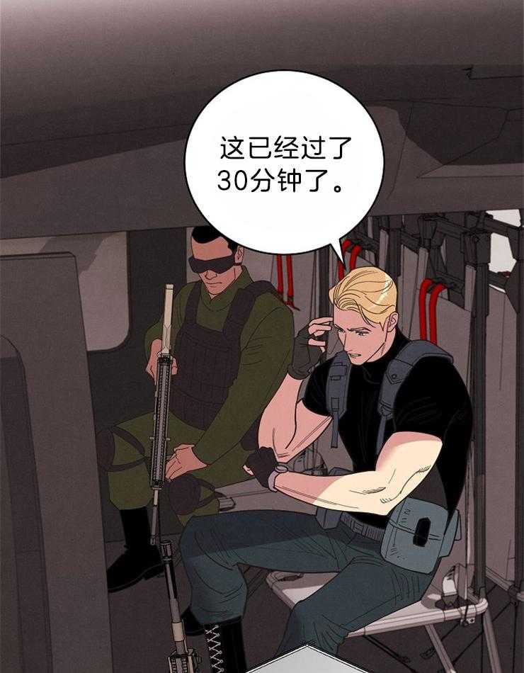 46.jpg