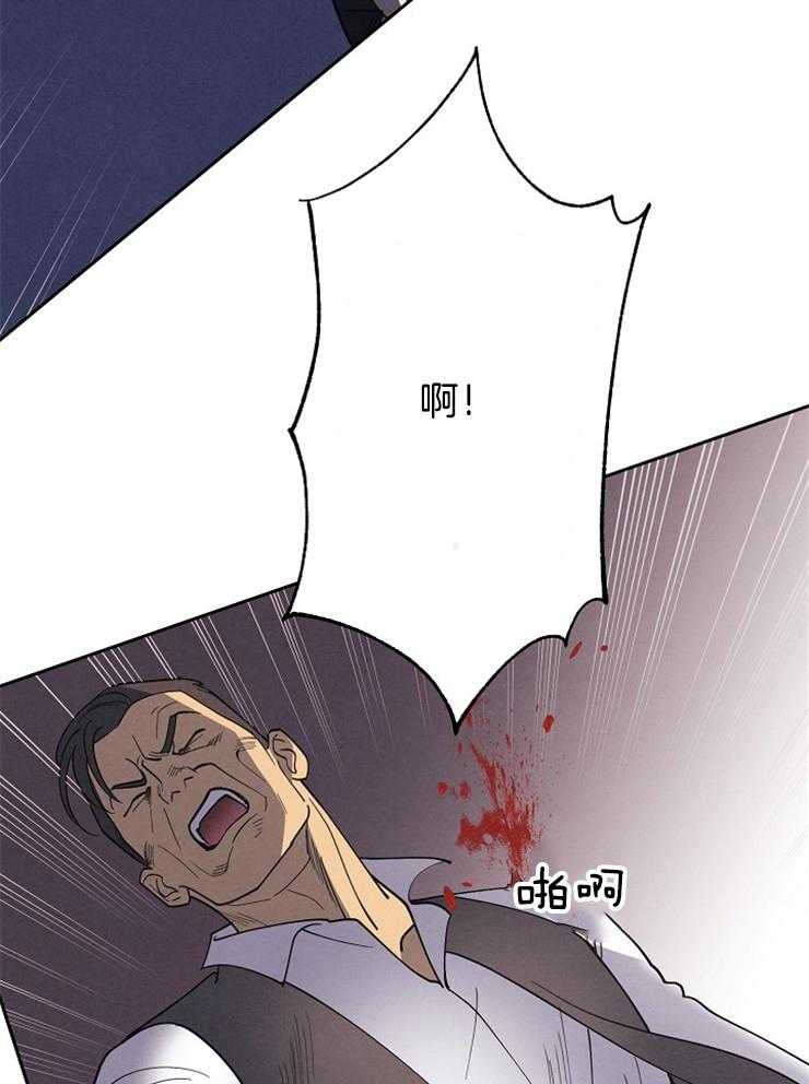 43.jpg