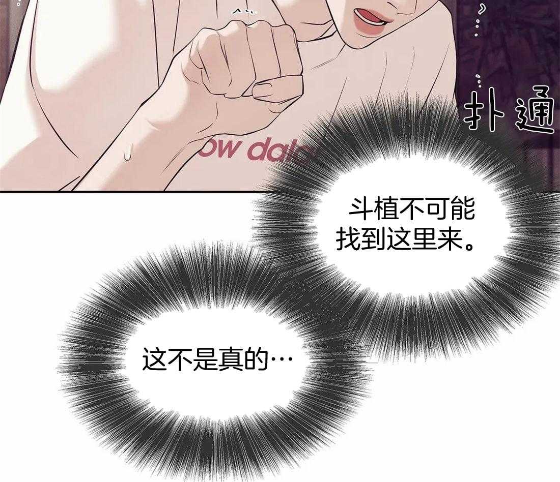 40.jpg