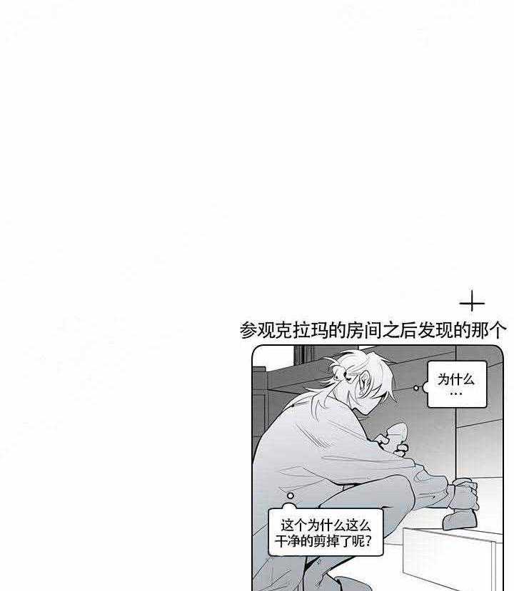 28.jpg