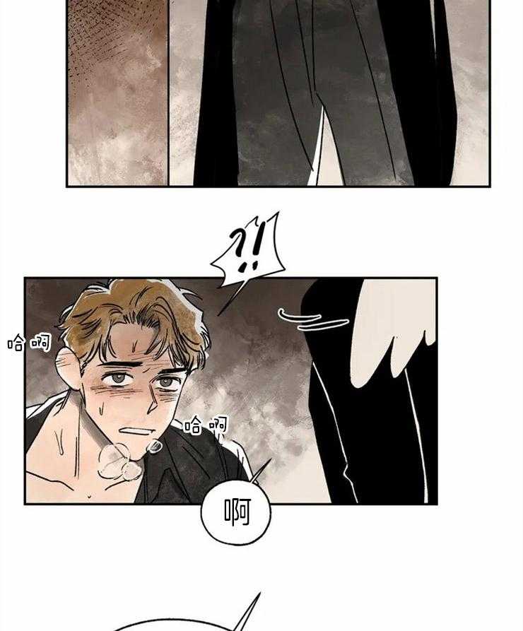 26.jpg