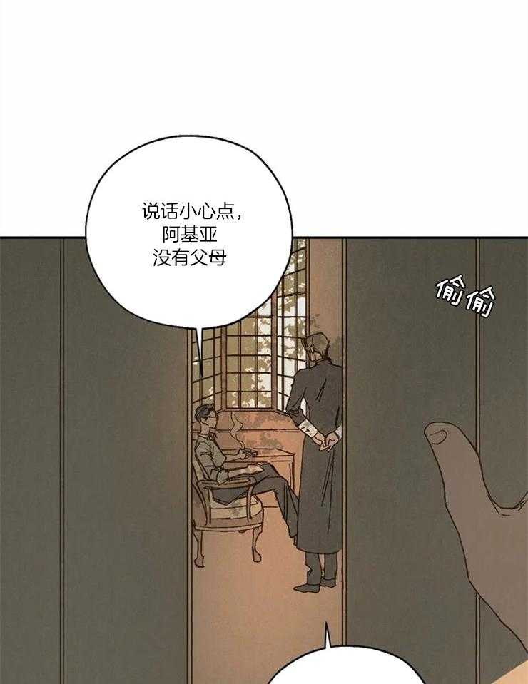 31.jpg