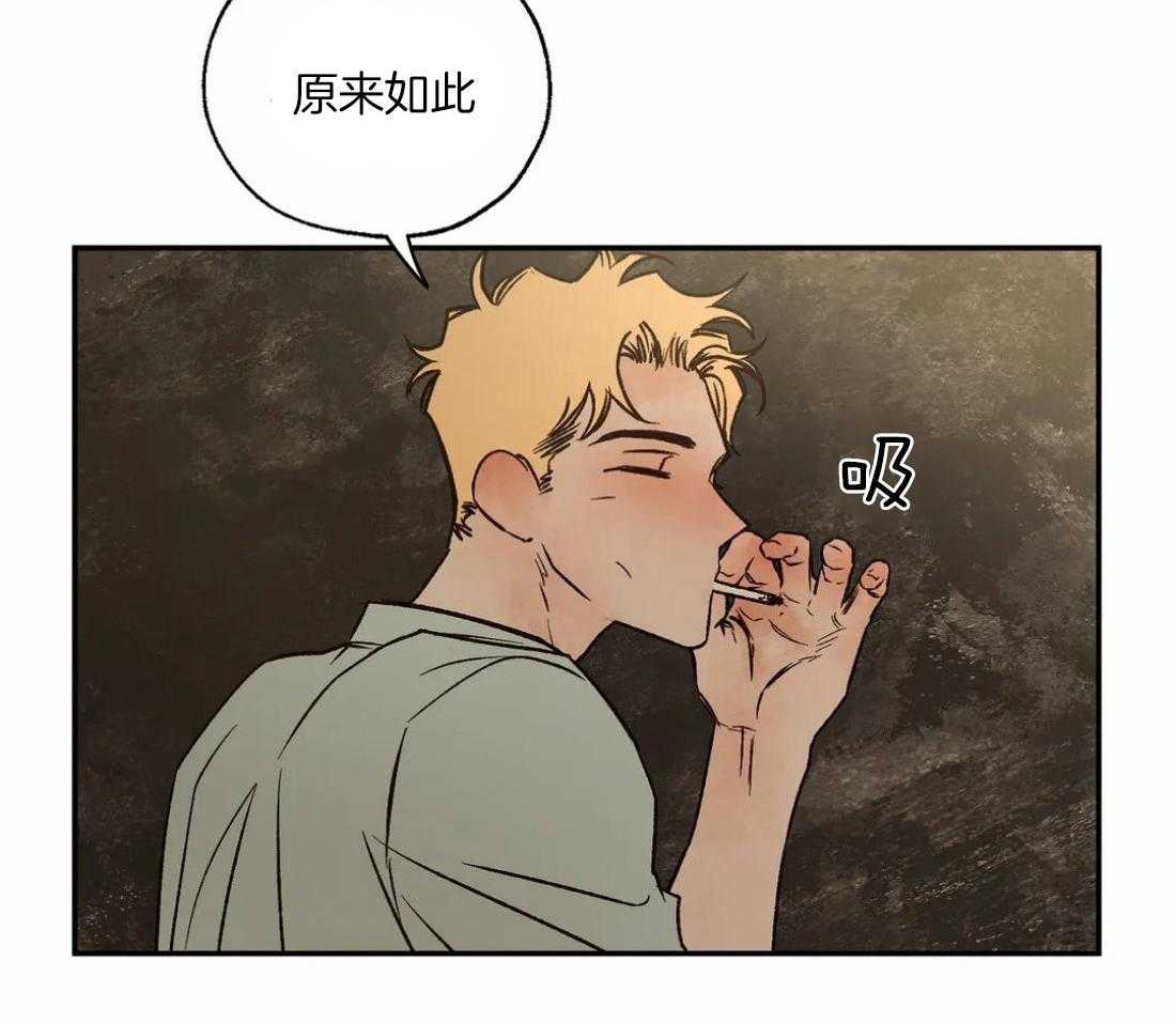 48.jpg