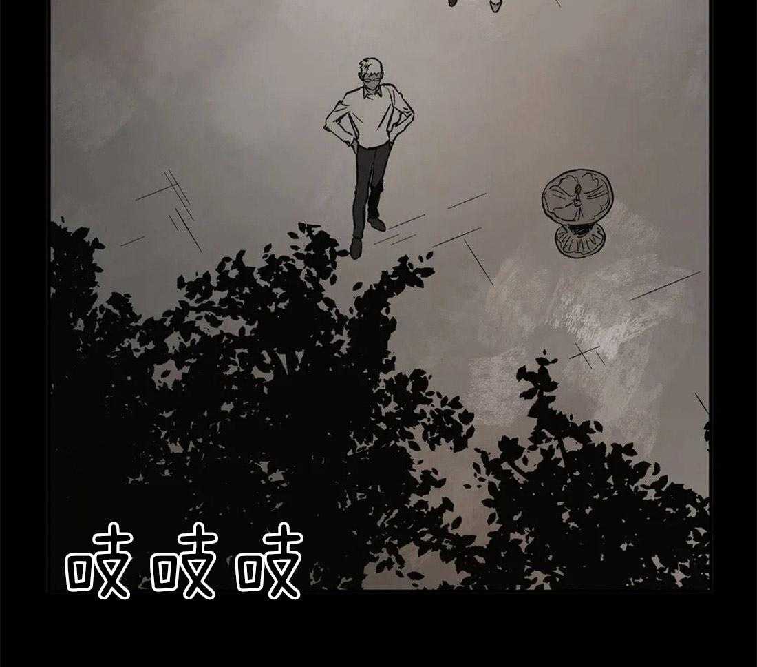 26.jpg