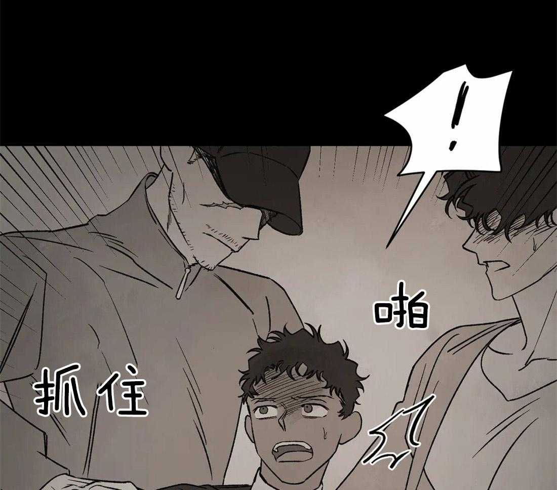 41.jpg