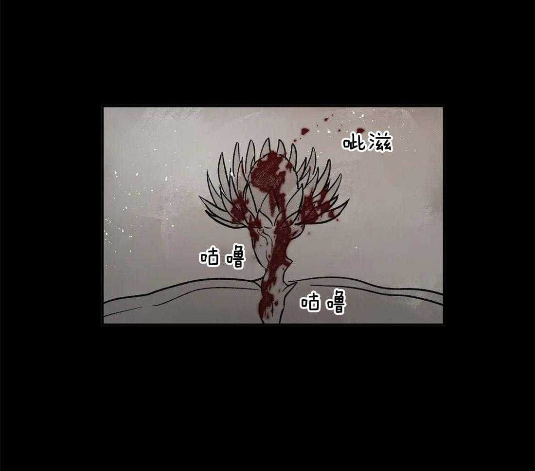 50.jpg