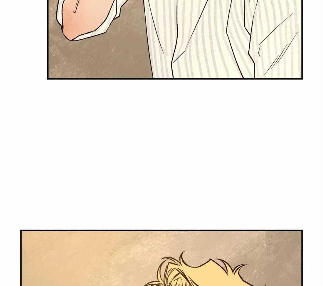 53.jpg