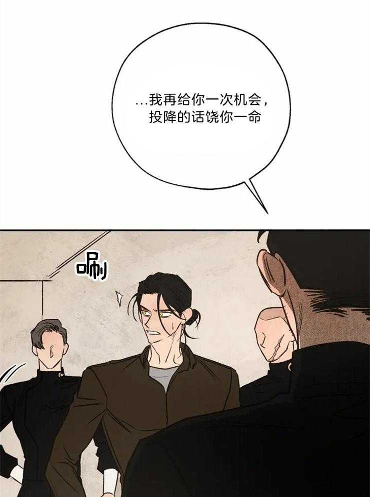 35.jpg