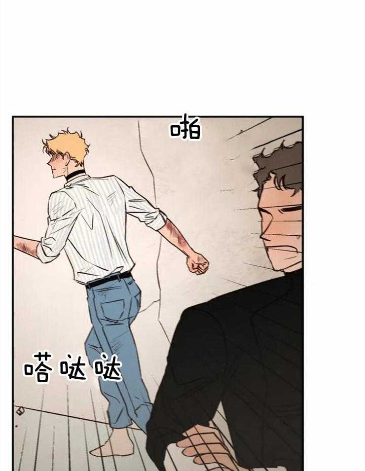 25.jpg