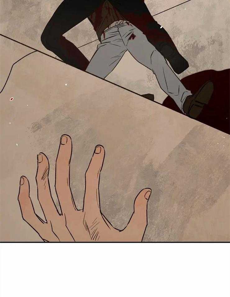 33.jpg