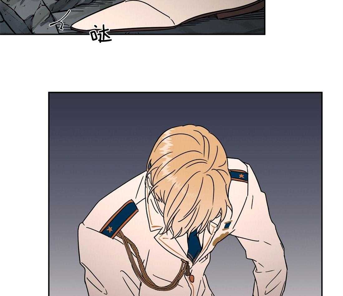 37.jpg