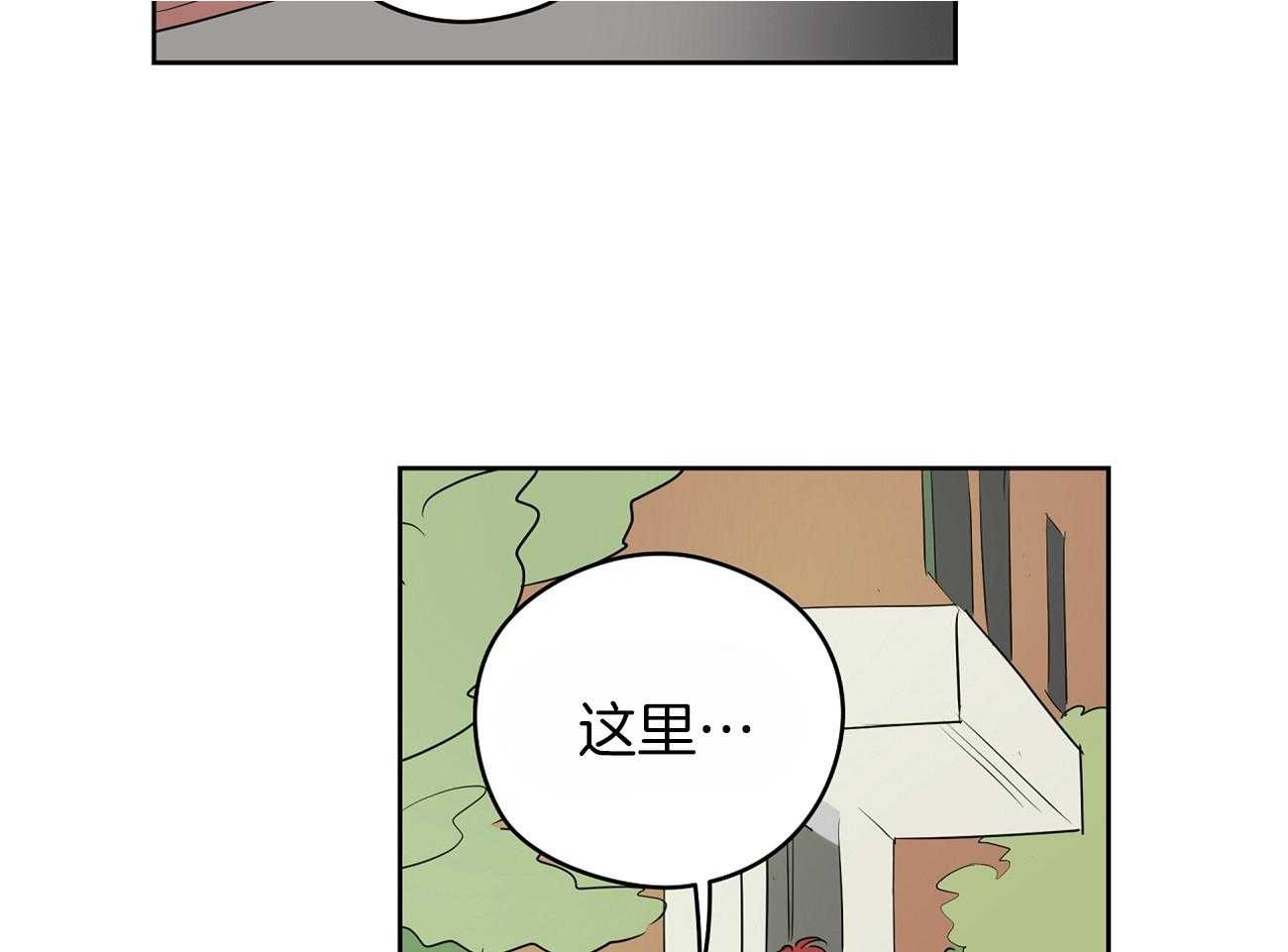 40.jpg