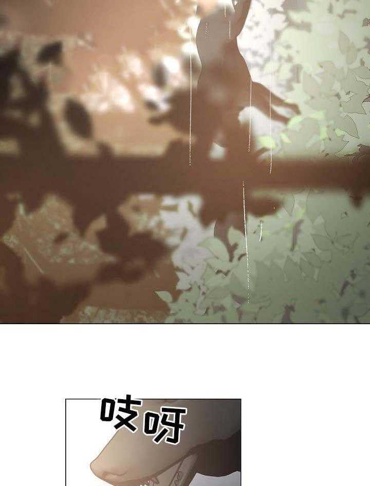24.jpg