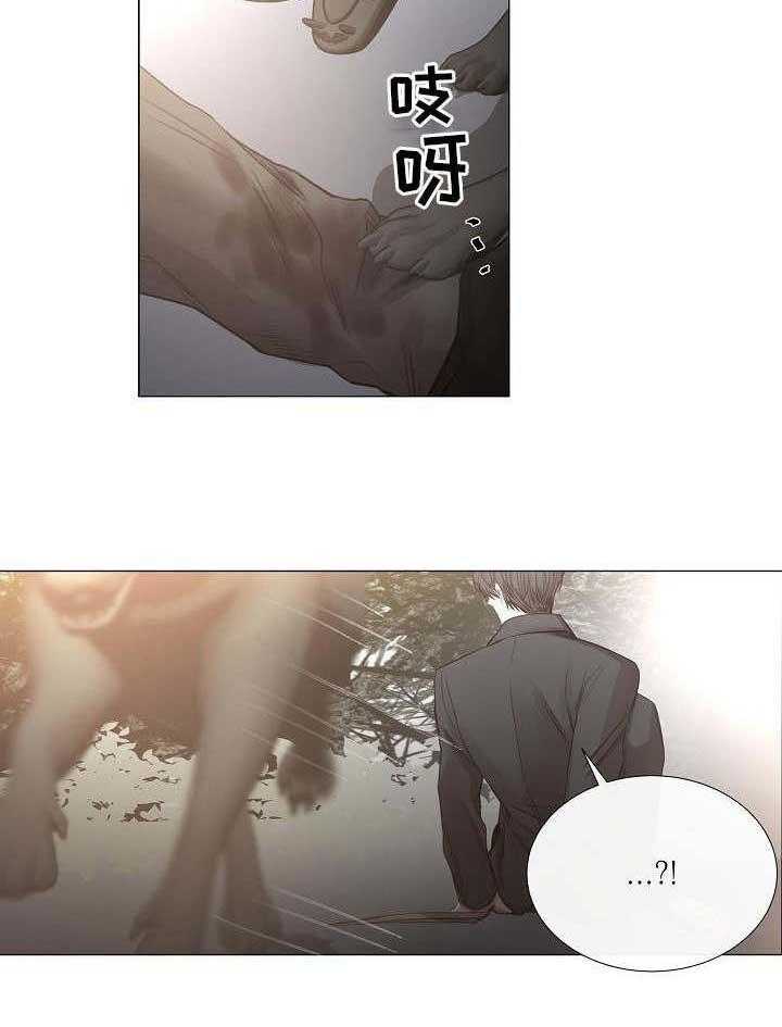 25.jpg