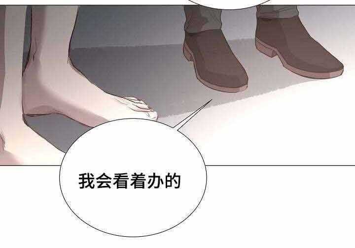 48.jpg