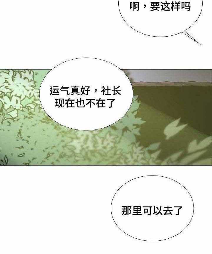 29.jpg
