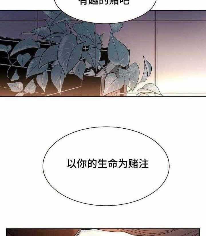 23.jpg