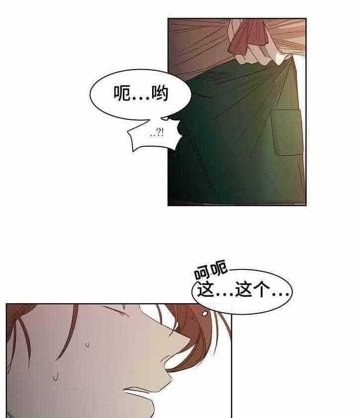 13.jpg
