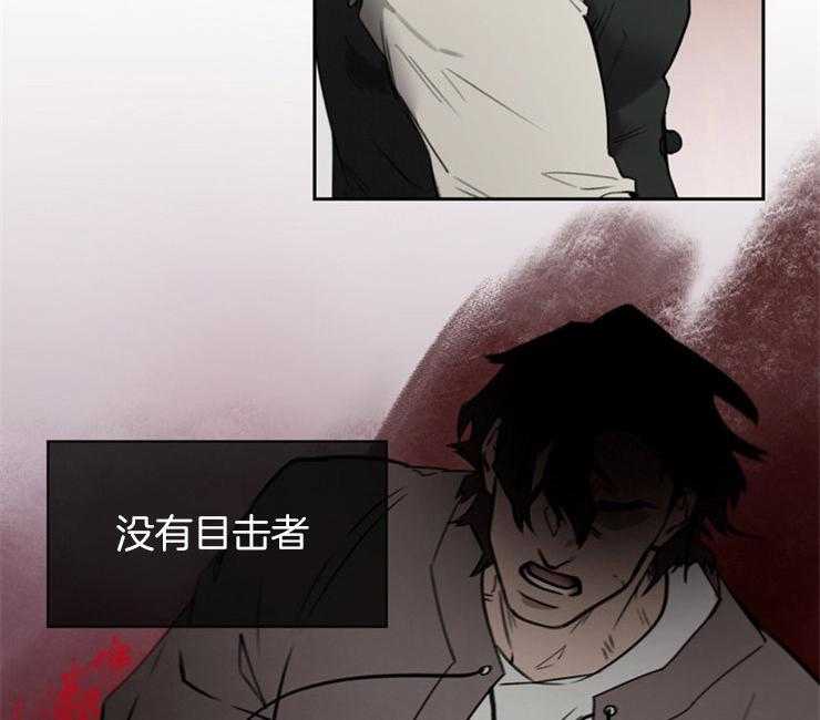 37.jpg