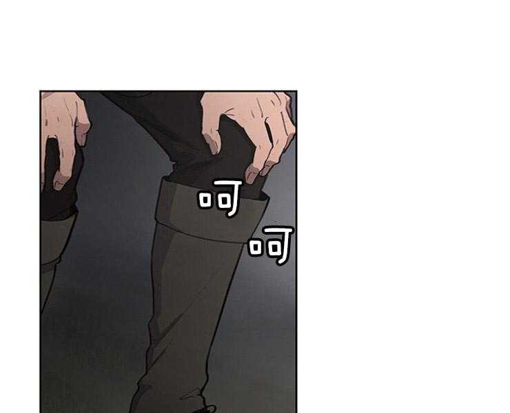 29.jpg