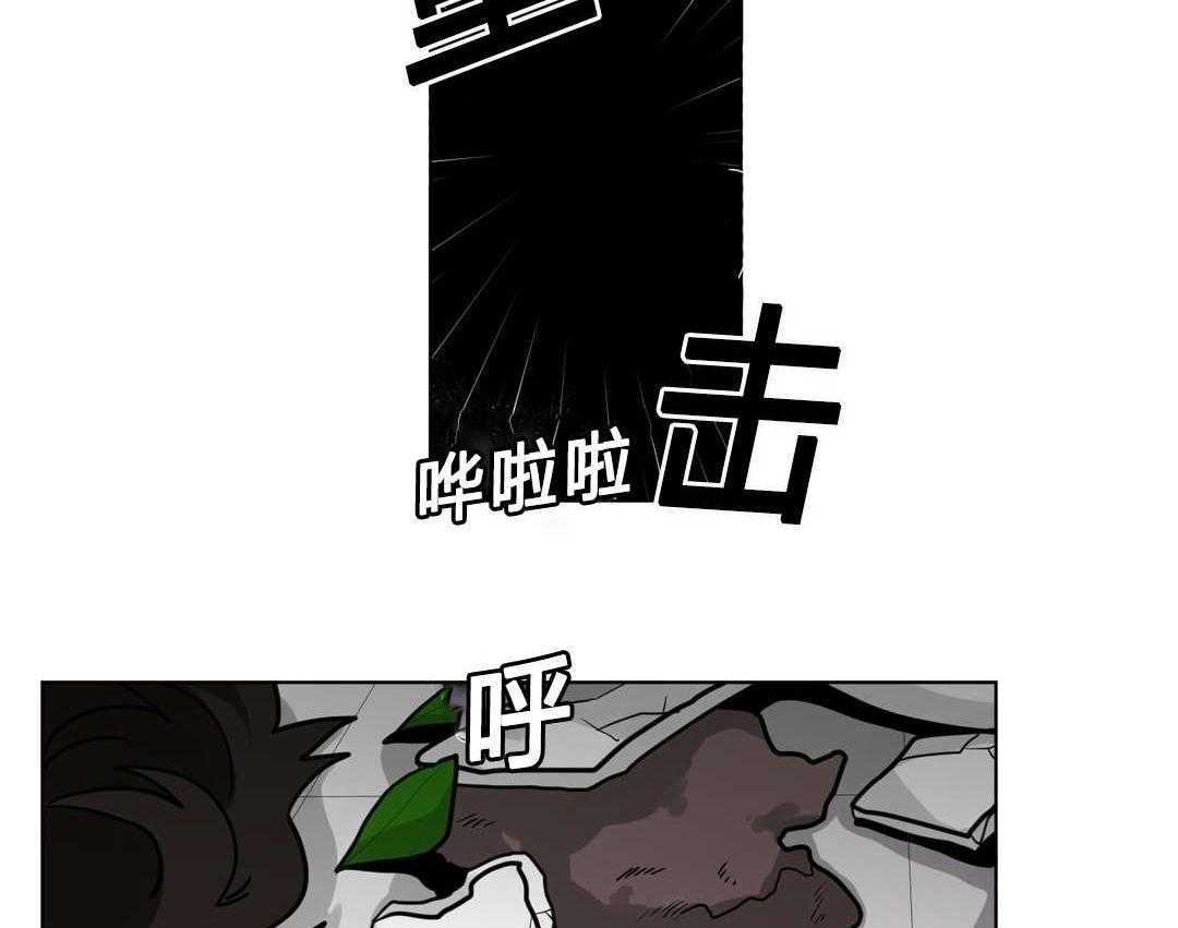 37.jpg