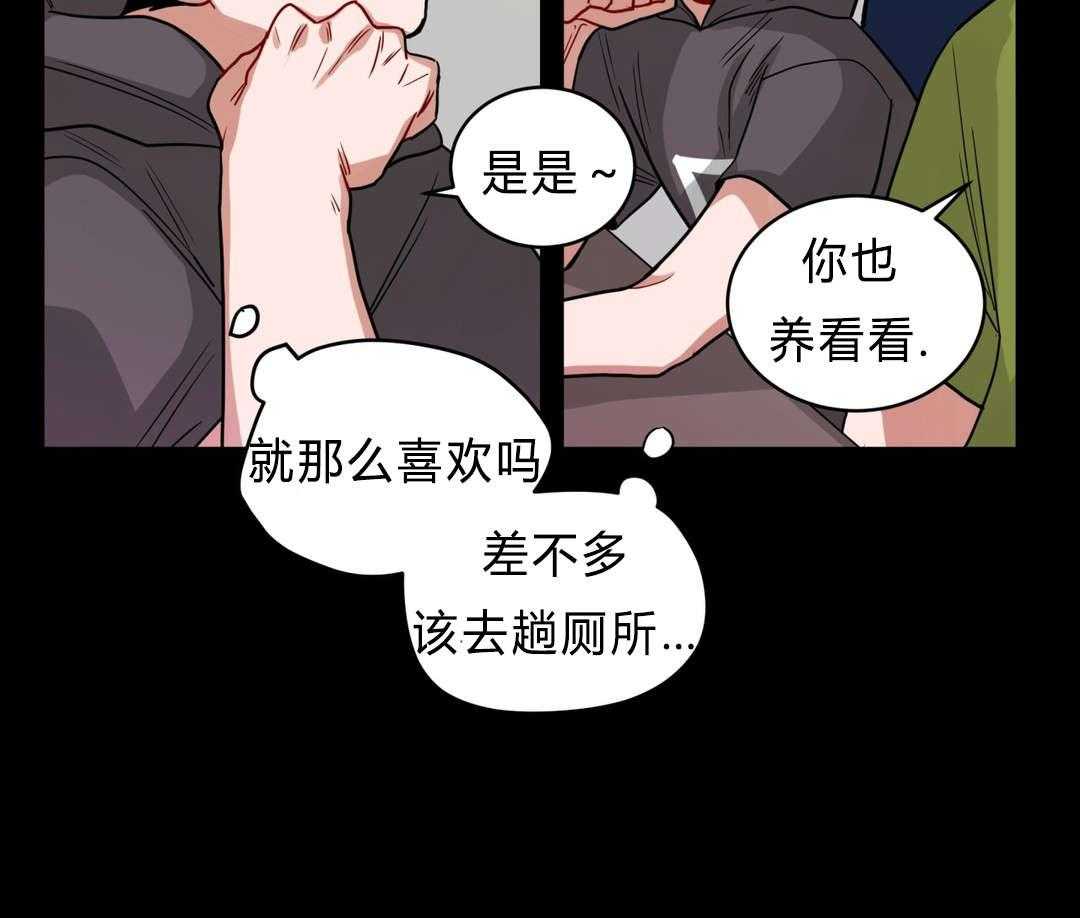 27.jpg