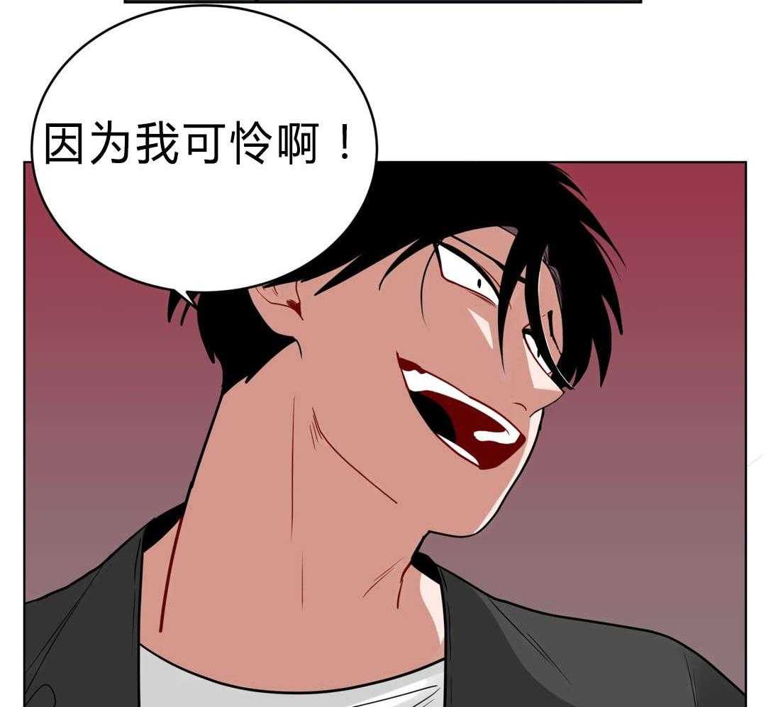 37.jpg